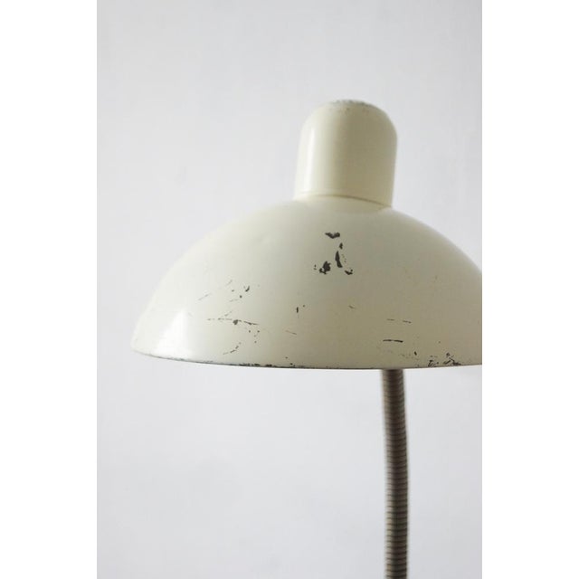 Bauhaus Table Lamp Kaiser Idell / Kaiser Leuchten For Sale - Image 5 of 8