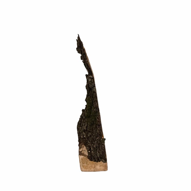 Vintage One of a Kind Handmade Live Edge Tramp, Folk Art Tree Model For Sale - Image 4 of 8