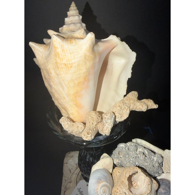 2020s Celestial Meets the Sea Reflections of the Ocean, a Pair-Coastal Art Sculpture For Sale - Image 5 of 8