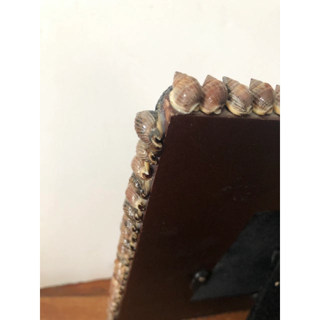 Hand Made Shell Frame For Sale - Image 4 of 10
