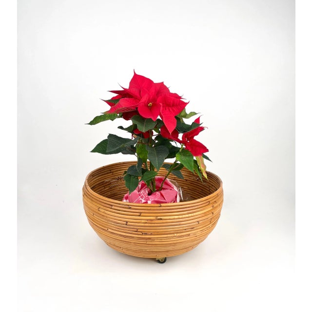 Rattan Round Flower Stand Plant Holder, Italy, 1960s For Sale - Image 4 of 10