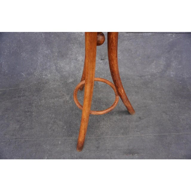 Thonet Debrecen Austro-Hungarian Bentwood Plant Stand For Sale - Image 4 of 7
