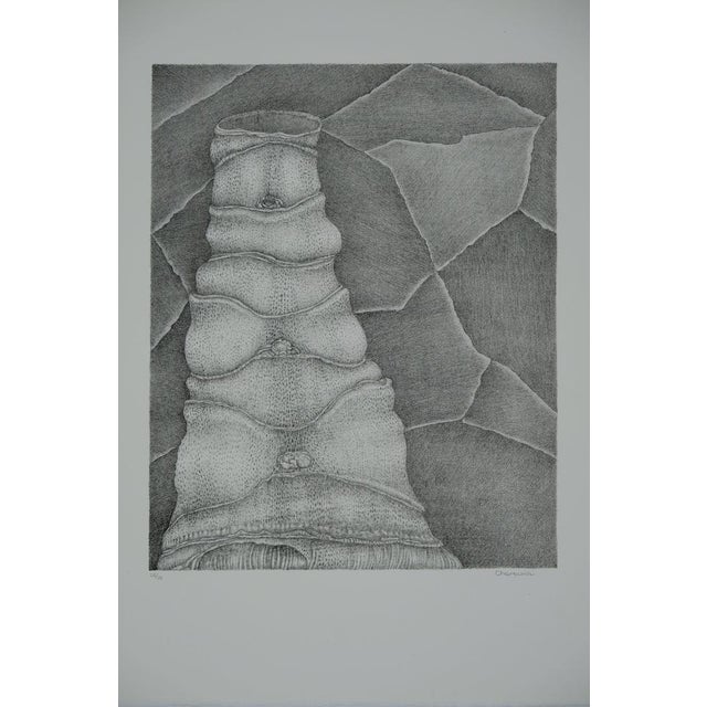 Gochka Charewicz, La tour, Lithograph For Sale - Image 8 of 8