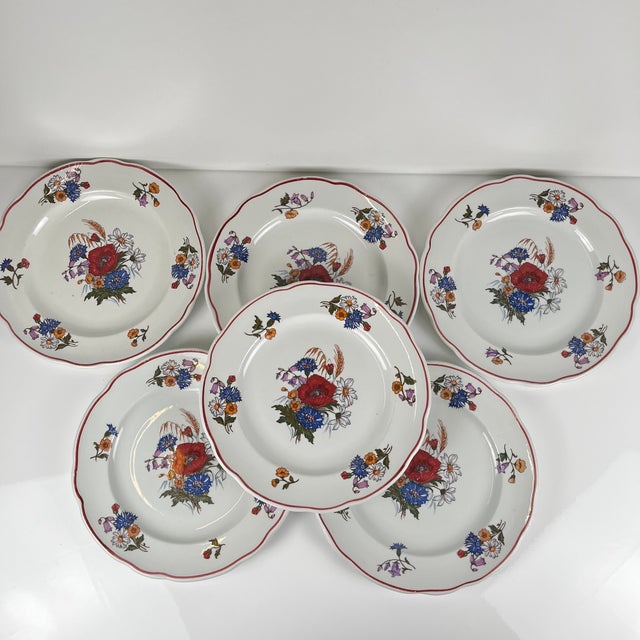 Vintage Agreste Dinner Plates from Sarreguemines, 1980s, Set of 6 For Sale - Image 14 of 14