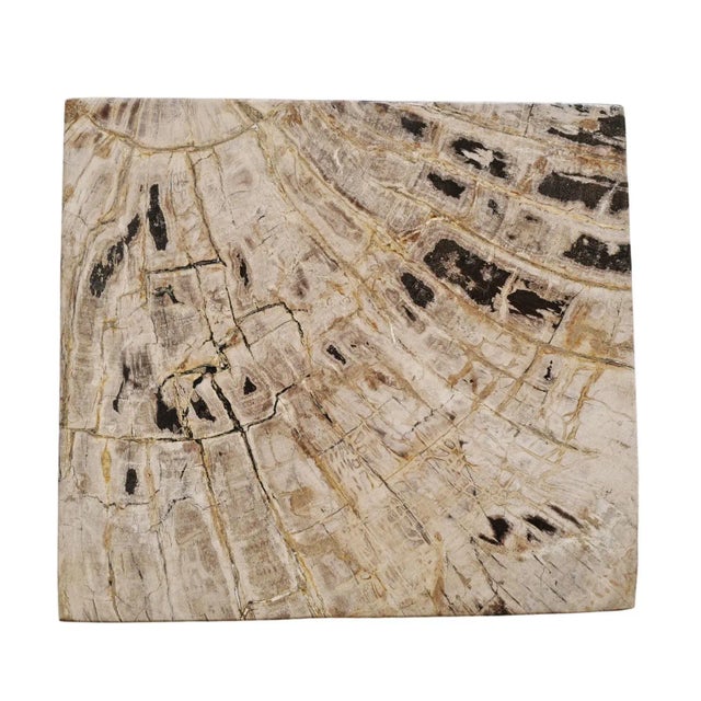 Early 21st Century Vintage Square Petrified Wood Stump Side Table For Sale - Image 5 of 6