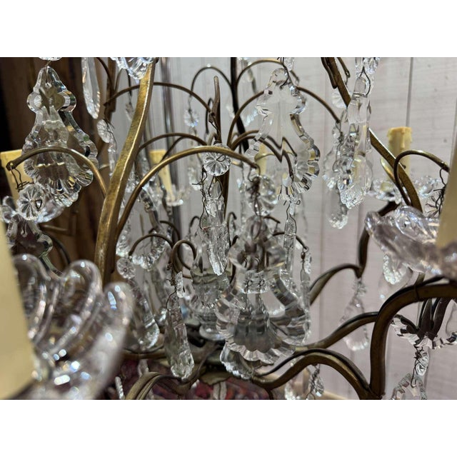 Tan 8-Light Bronze Chandeliers with Baccarat Crystal Drops, 1950s, Set of 2 For Sale - Image 8 of 18
