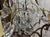 Tan 8-Light Bronze Chandeliers with Baccarat Crystal Drops, 1950s, Set of 2 For Sale - Image 8 of 18