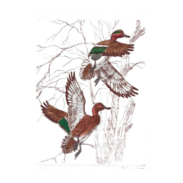 Victory Hohne Green Wing Teal Flying Etching For Sale