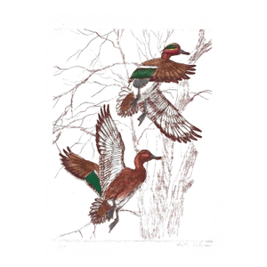 Victory Hohne Green Wing Teal Flying Etching