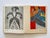 Henri Matisse Vintage 1958 First Edition Fine Art Lithograph Print Large Volume French Modern Art Hardcover Book For Sale - Image 17 of 18