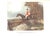 White "British Sporting and Animal Prints 1658-1874" 1981 Snelgrove, Dudley For Sale - Image 8 of 11