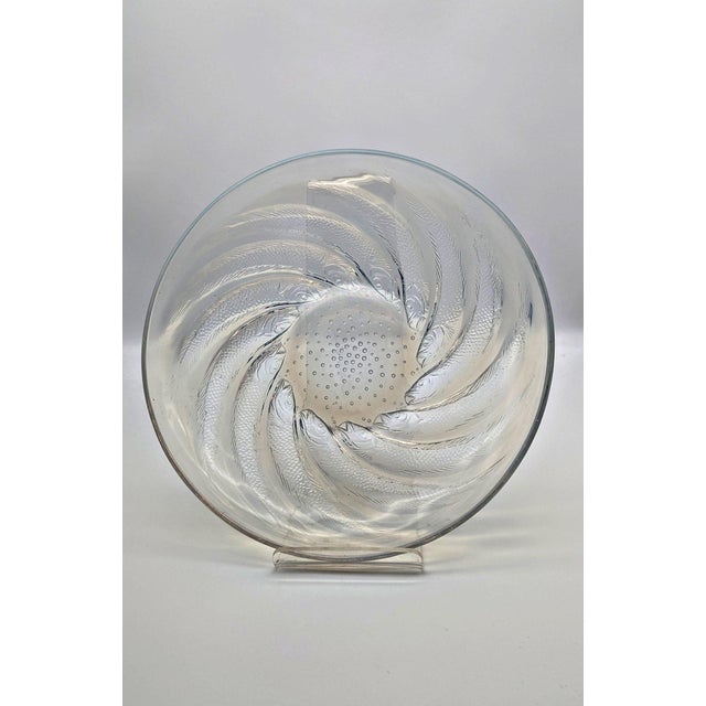 Opalescent Glass Fish No. 1 Plate from René Lalique, France, 1931 For Sale - Image 3 of 8