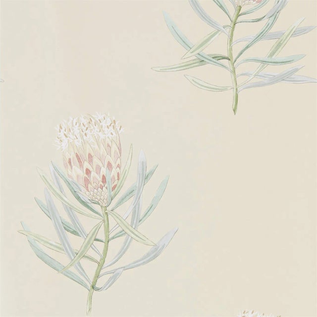 Sanderson Protea Flower Wallpaper in Russet/Green - a Sample For Sale