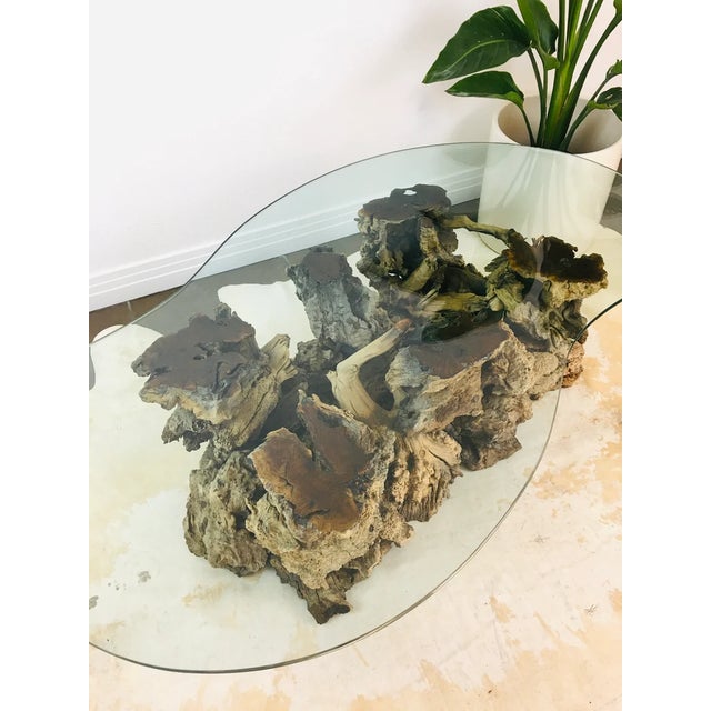 Brown Vintage 1970s Burlwood Driftwood Sculptural Glass Top Coffee Table For Sale - Image 8 of 11