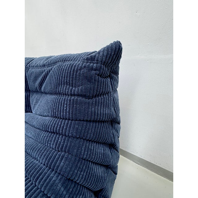 French Togo 2-Seater Sofa in Blue Corduroy attributed Michel Ducaroy for Ligne Roset, 1970s For Sale - Image 9 of 12