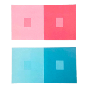 2009 Josef Albers the Interaction of Color Plate Vi-1