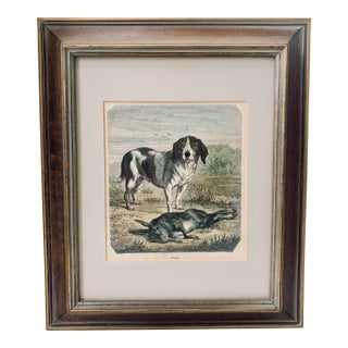 19th-Century Hand Colored French Engraving of a Beagle for "La Chasse Illustree" by Firmin Didot For Sale