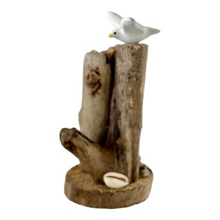 Vintage White Seagull on Driftwood With Sea Shells For Sale