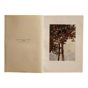 1905 Italian Original Print - A Misty Effect - From Book Florence & Some Tuscan Cities (1905)