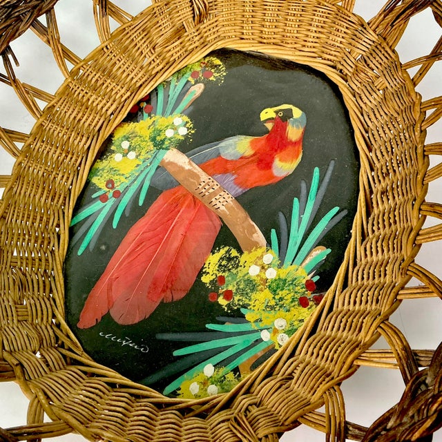 1950s Vintage Mexican Folk Art Original Feather Mixed Media Acrylic Bird Painting With Basket Frame For Sale - Image 12 of 14