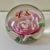 Vintage Pink Flower and Bee Paper Weight For Sale - Image 4 of 10