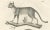 Mid 19th Century C.C. G. Zool, African and European Wild Cats in Natural Poses, 1836, Print For Sale - Image 5 of 11