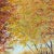 Contemporary "Shades of Autumn" Contemporary Original Impressionist Style Landscape Painting by Deb Bossert For Sale - Image 3 of 8
