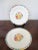 American Mikasa Maxima Exotic Garden 2 Salad Plates - Set of 2 For Sale - Image 3 of 8