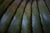 Green Dubai Green Leather Togo Lounge Chair, Corner and 2-Seat Sofa by Michel Ducaroy for Ligne Roset, 1979, Set of 3 For Sale - Image 8 of 14