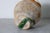 19th Century Spanish Pottery For Sale In Atlanta - Image 6 of 6