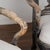 Pair, 19th Century Swedish Black Rococo Armchairs For Sale - Image 9 of 17