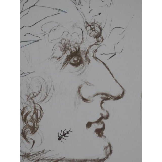 Salvador Dali, Shakespeare: Julius Caesar, Photogravure For Sale - Image 6 of 9