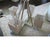 Currey & Company Currey & Company Raj Mirror Bronzite 4 Arm Chandelier For Sale - Image 4 of 12