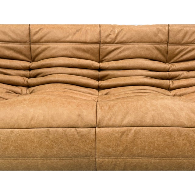 This Togo has been reupholstered with new foam and leather, preserving its shape & iconic looks. As a result of the...