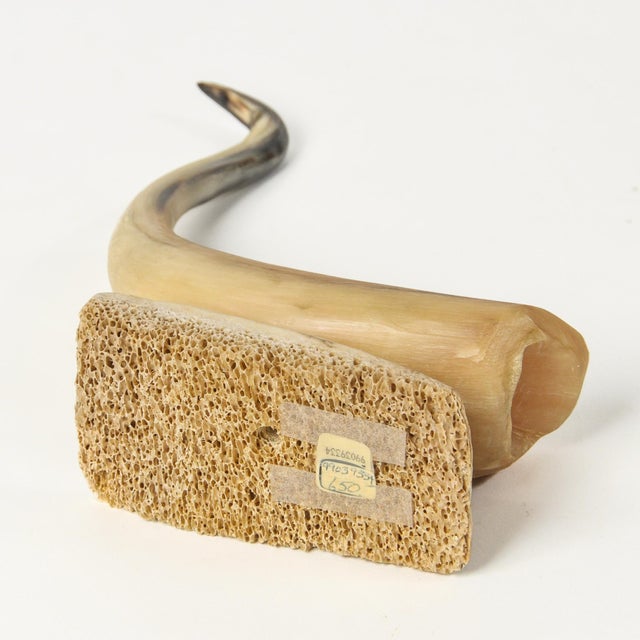 Vintage Carved Horn Crane Sculpture For Sale - Image 14 of 17