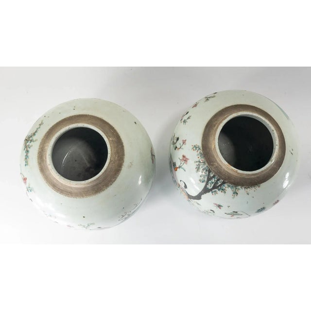 Antique White 19th Century Pair of Chinese Chinoiserie Famille Rose Ginger Jars For Sale - Image 8 of 12