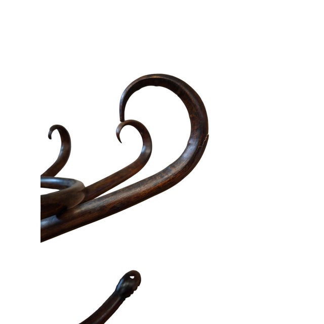 Column Coat Rack in the style of Thonet, 1960s For Sale - Image 11 of 13
