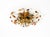 Mid-Century Modern Gold-Plated Ceiling Lamp by Banci Firenze, Italy, 1960s For Sale - Image 3 of 18