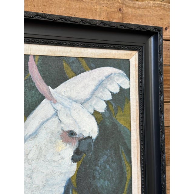 Wood Monumental Reproduction Print Realism Cockatoo Black Wood Framed Oil Painting Manner of Jessie Arms Botke For Sale - Image 7 of 11