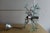 Aqua Glass Sputnik Chandelier from Fontana Arte, Italy, 1960s For Sale - Image 8 of 9