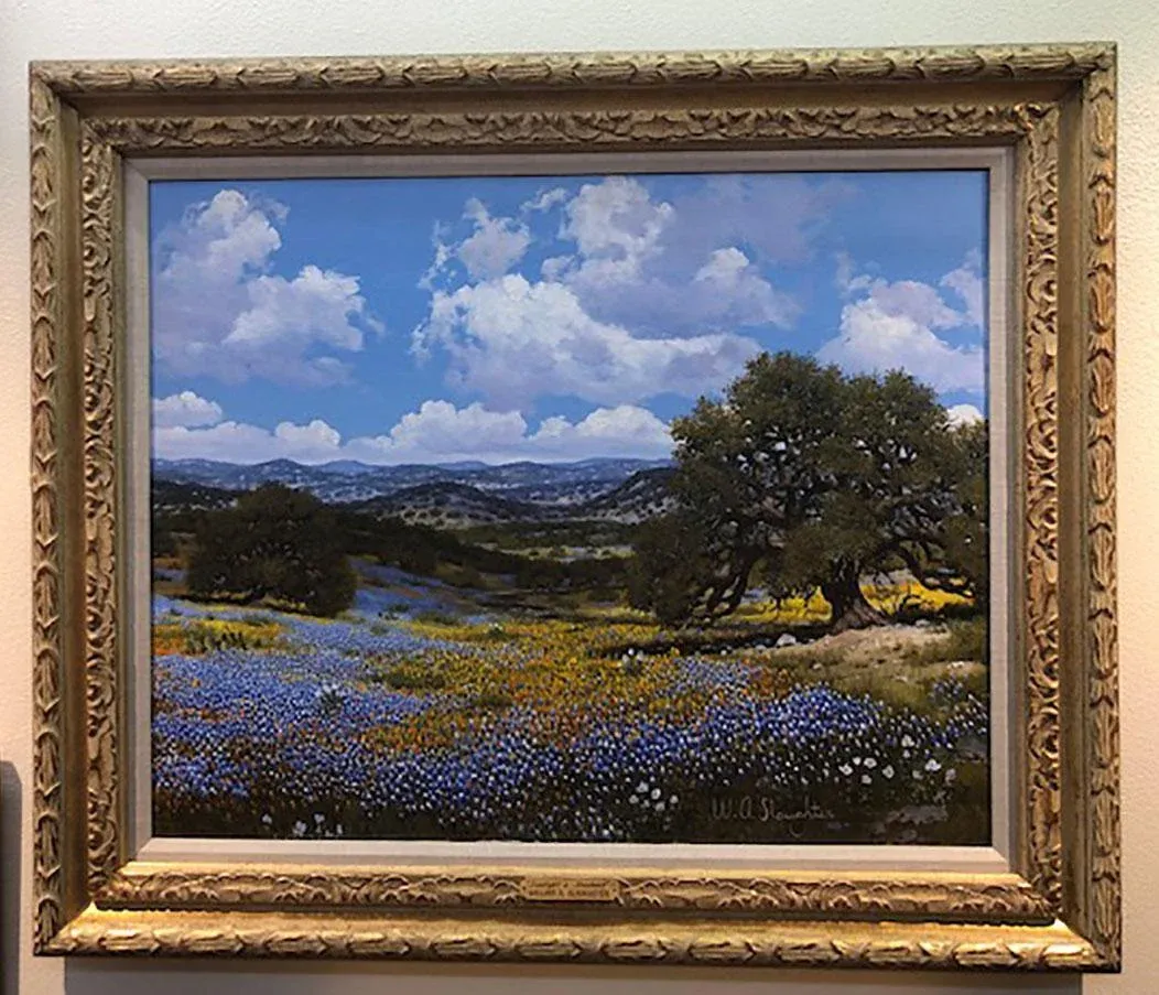 1970s-texas-bluebonnets-