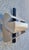 Mid-Century Modern Mid-Century Modern Wall Lamp by Ernesto Gismondi for Artemide, Italy, 1970s For Sale - Image 3 of 15