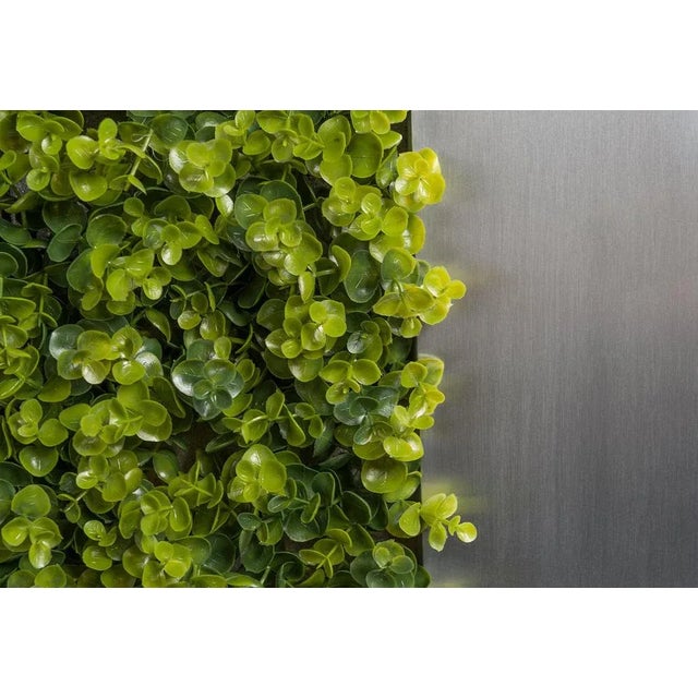 New Eucalyptus Cornice from VGnewtrend For Sale - Image 3 of 4