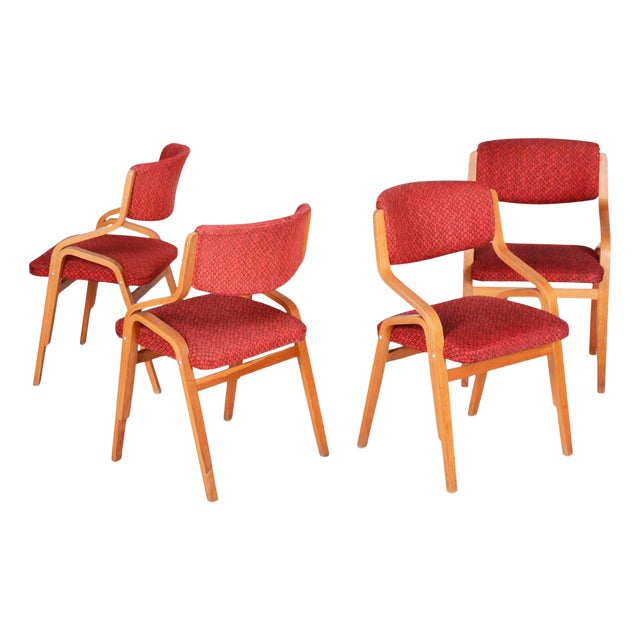 Mid-Century Chairs in Mapple attributed to Ludvik Volak, Czech, 1960s, Set of 4 For Sale