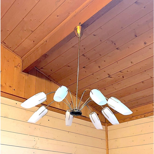 A very elegant Mid-Century Spider Chandelier, with eight curved Brass arms holding beautiful Opaline Glass lampshade....