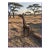 Vintage Leather Wrapped African Giraffe Figurine 18” Tall. For Sale