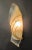 1960s 1960s Opaline Leaf Sconces, a Pair For Sale - Image 5 of 7