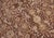 1990's Floral Pak-Persian Brown/Beige Wool Rug - 8'0'' X 10'2'' For Sale - Image 4 of 9
