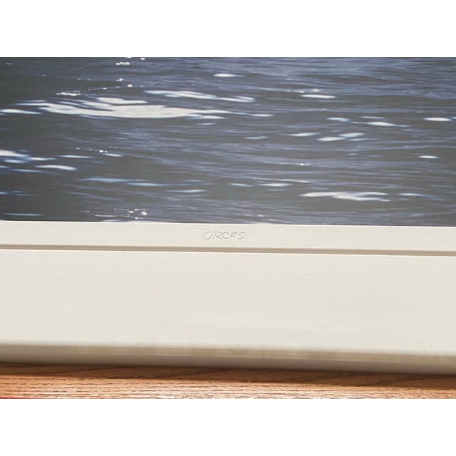 1990s Art Wolfe Signed Limited Edition 14/250 Photo Orcas Sierra Club Oak Wood Frame For Sale - Image 4 of 8
