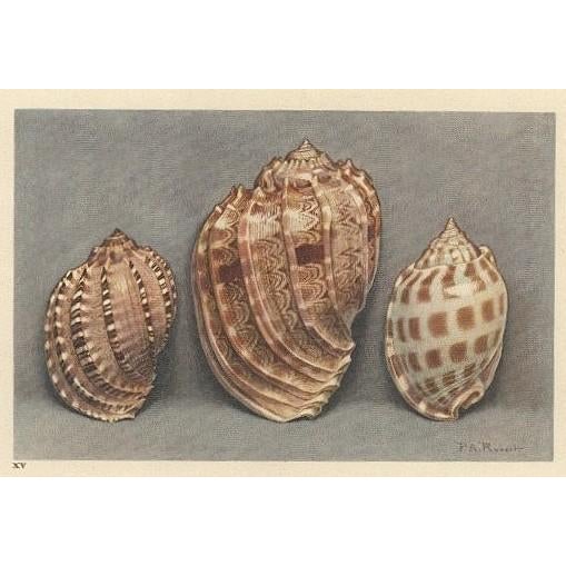 This is a set of 2 French lithographs that date to 1935. They are colored book plates of watercolors done by Paul A...